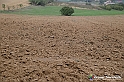 VBS_7507 - Andare lontano, oltre i campi da arare... e ancora più in là